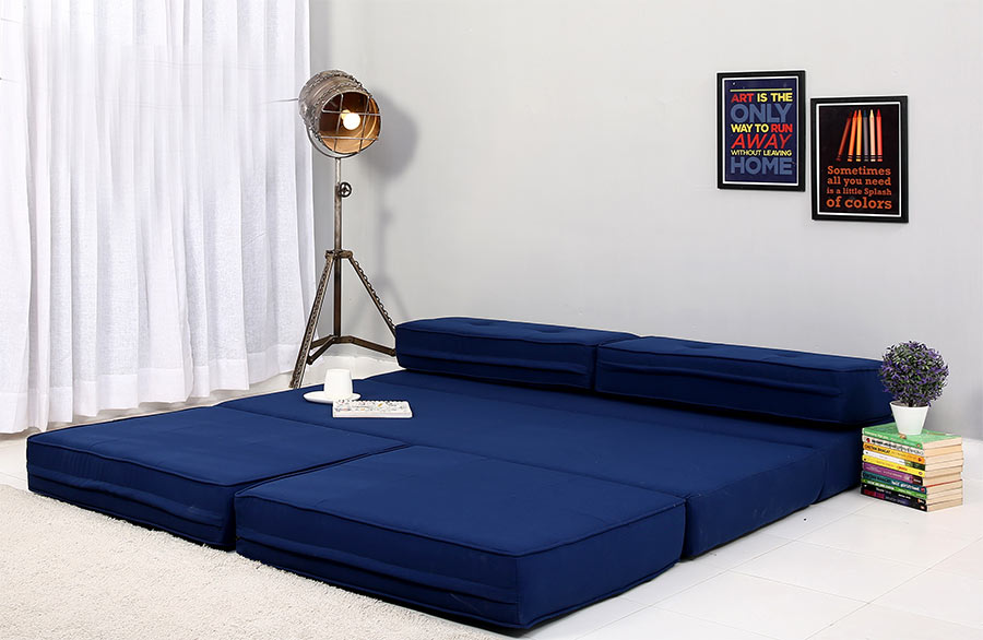 Coleman Futon bed for dual-purpose furniture in budget apartments