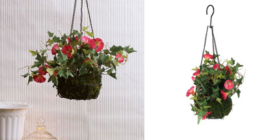 Hanging plant in ironware basket for Diwali home decor