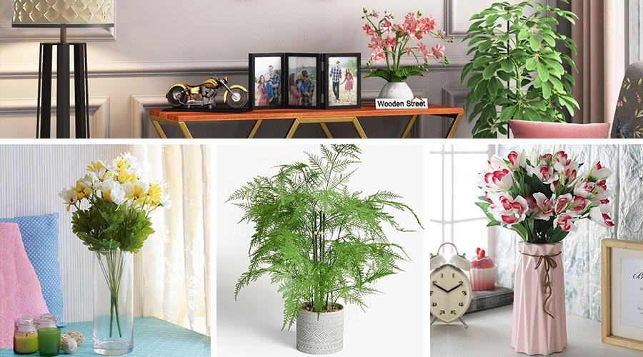 WoodenStreet's Best Home Decor Ideas