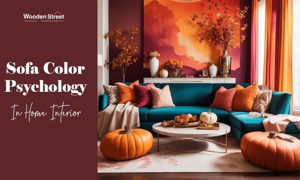 Learn About the Color Psychology in Sofa Selection
