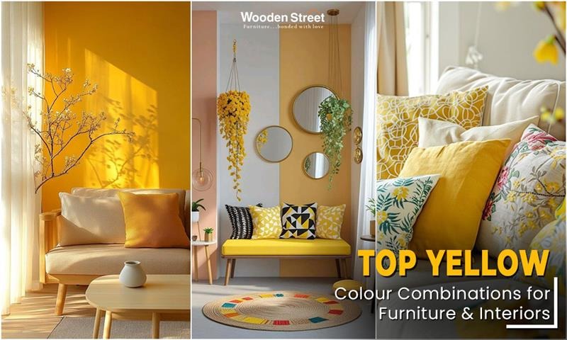 Yellow Colour Combination