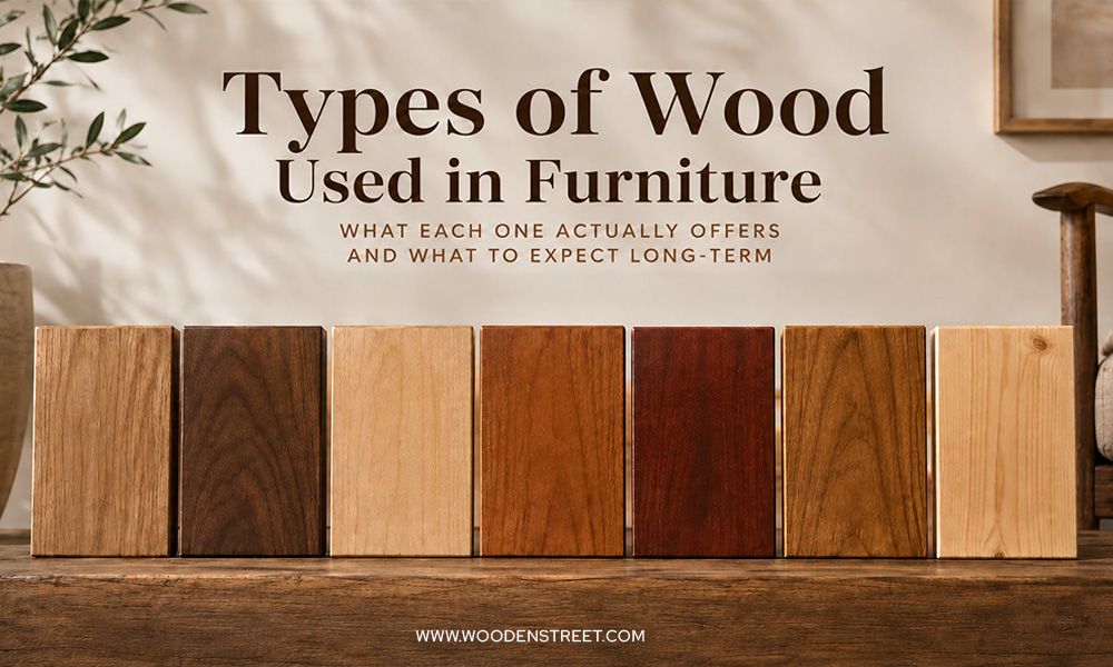 Types of Wood Used in Furniture